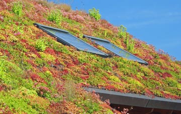 North Somercotes living roof systems
